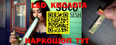 эйфоретик Славгород