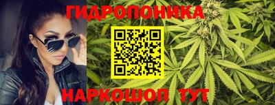 эйфоретик Славгород